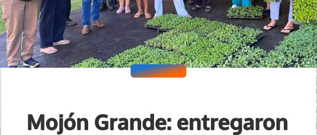 Mojón Grande: entregaron plantines hortícolas para fortalecer la producción de feriantes